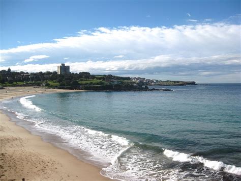 coogee beach live cam|Coogee Beach